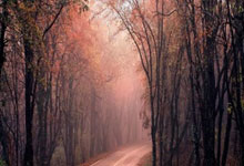 乐天堂联盟体育：4比3大逆转！山东泰山正式官宣，王大雷晒动态，2大名记暗讽伊万.