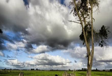 31+26+10帽！当选过篮板王，詹姆斯和东契奇苦等的中锋要来了.