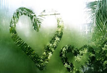 [CBA]宁波加时胜天津 队史首次单赛季胜场上双.